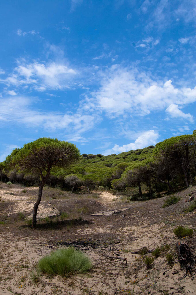 parque natural la breña