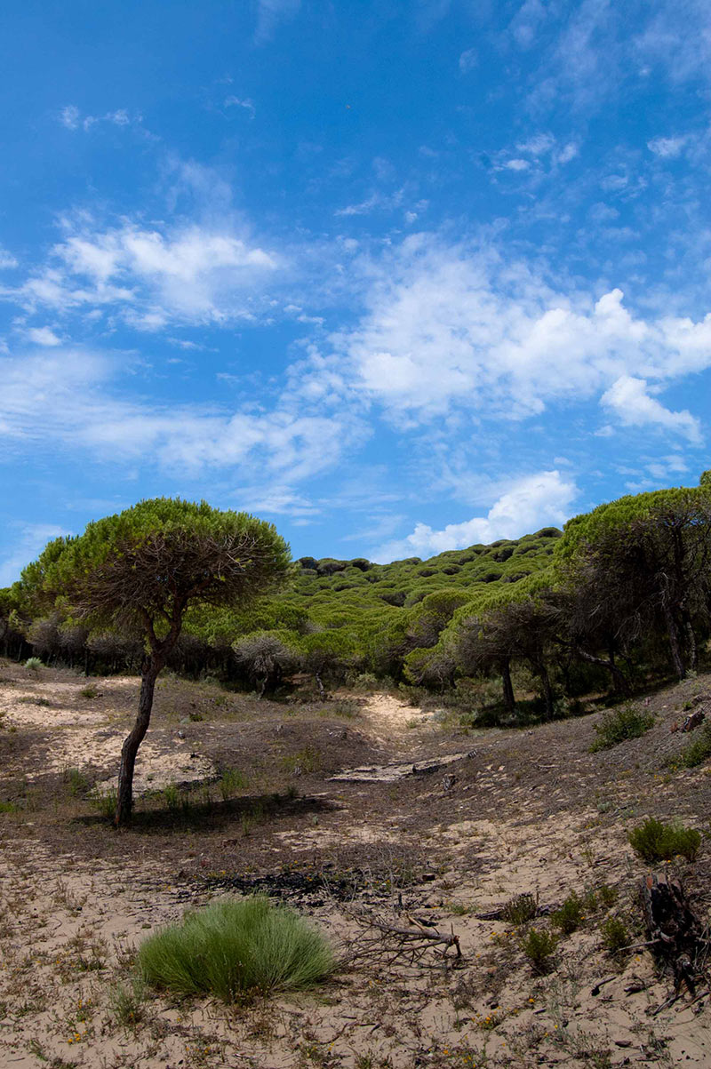 parque natural la breña